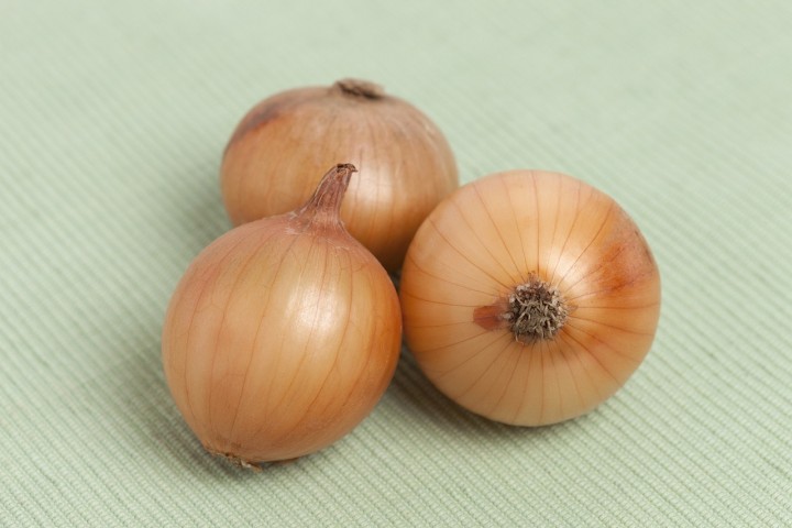 玉ねぎ