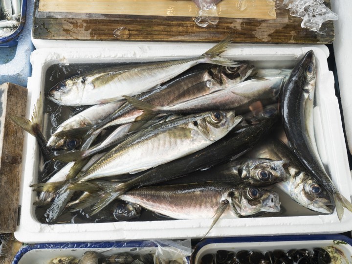 魚の臭み消し_スパイスのガネーシャ
